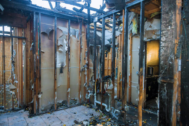 Professional Fire Damage Removal technician working in Young America, MN
