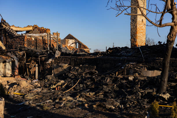 Trusted Fire Damage Removal service in Young America, MN - Fire Damage Laser Cleaning